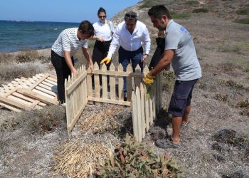 Kum zambaklarına çitlerle muhafaza: Koparmanın cezası 244 bin lira