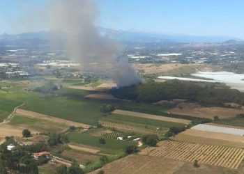 Manavgat ve Soma’da orman yangını (Havadan ve karadan müdahale ediliyor)