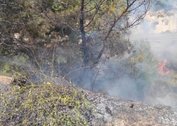 Manavgat’ta çöp döküm alanında yangın