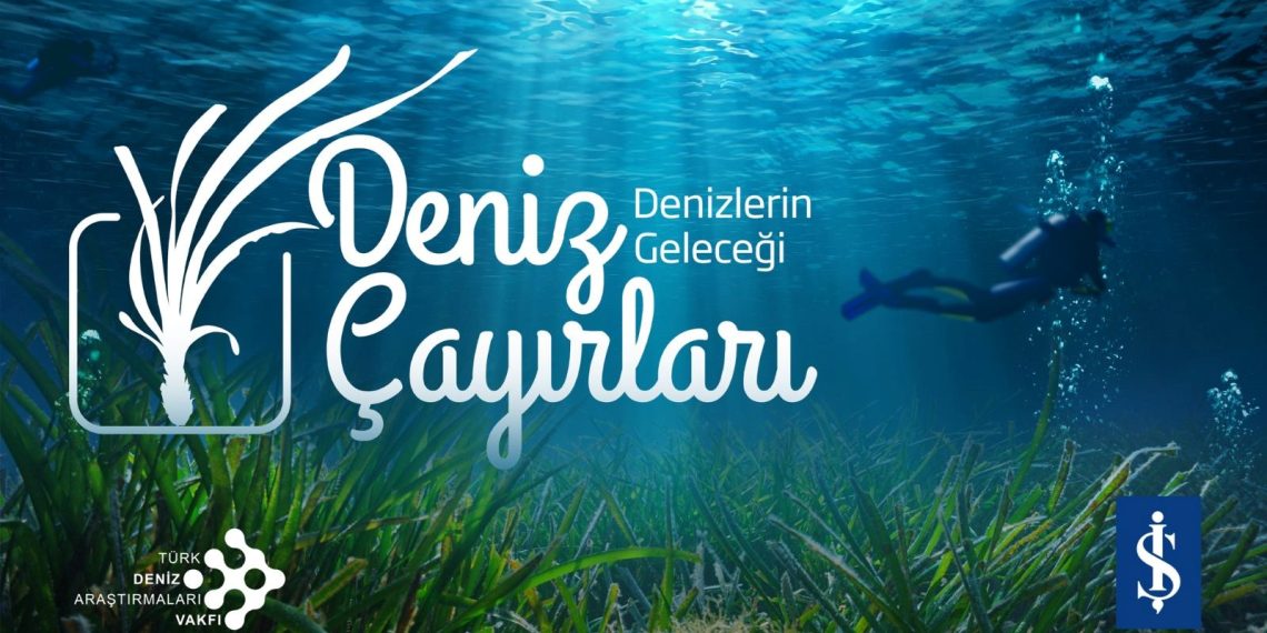 Marmara’nın son oksijen deposu kayıt ve muhafaza altına alınıyor