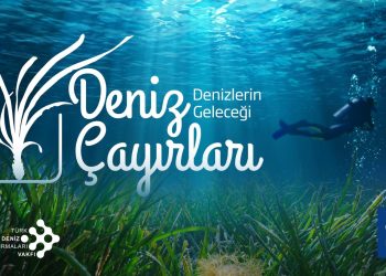 Marmara’nın son oksijen deposu kayıt ve muhafaza altına alınıyor