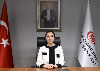 Merkez Bankası Lideri Erkan’dan OVP değerlendirmesi