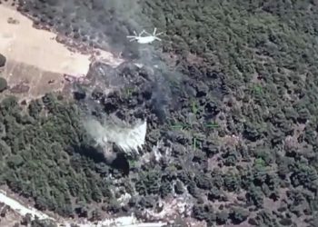 Muğla-Aydın hududunda orman yangını (Alevler denetim altına alındı)