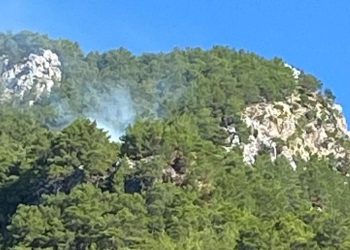 Muğla Köyceğiz’de orman yangını