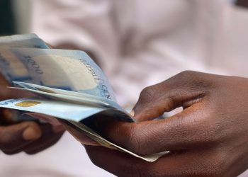 Nijerya hükümeti borçlanmaya son verecek