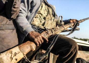 Nijerya’da terör örgütü Boko Haram’ın 23 üyesi öldürüldü