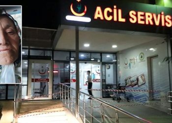 Ordu’da “goruk” fındık tartışması