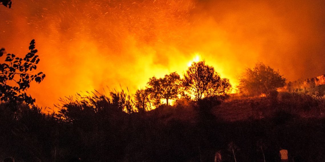 Orman yangınlarına yapay zeka müdahalesi: Erken tespit için eğitiliyor