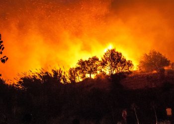 Orman yangınlarına yapay zeka müdahalesi: Erken tespit için eğitiliyor