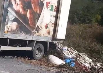 Ormana moloz döken kamyonete ceza