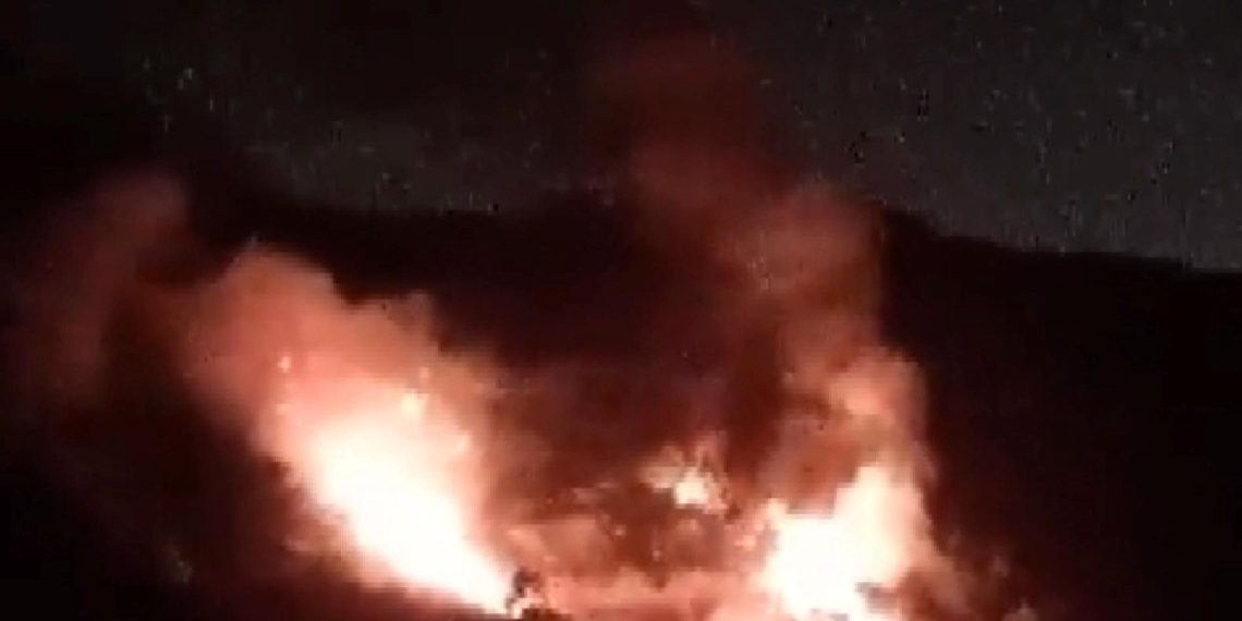 Pendik’te orman yangını