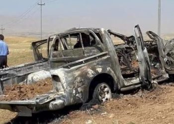 PKK’nın Irak-Suriye kurye sorumlusu etkisiz hale getirildi