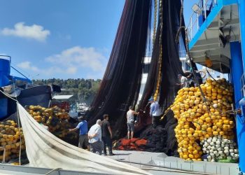 Rumelifeneri’nde son hazırlıklar | Denizlerde av yasağı 1 Eylül’de kalkacak