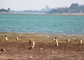 Seyhan Baraj Gölü’nün suyu çekilince mezarlar ortaya çıktı