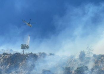 Söke’de ağaçlık alanda yangın