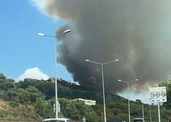 SON DAKİKA HABERİ: İstanbul Maltepe’de orman yangını