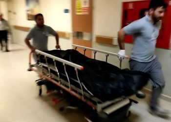 Tarlada çalışırken arının soktuğu bayan öldü