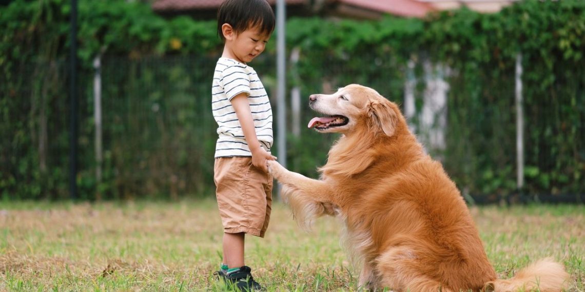 Tayvan’da doğum oranını artırma planı: Bir çocuk yapana bir köpek ikram