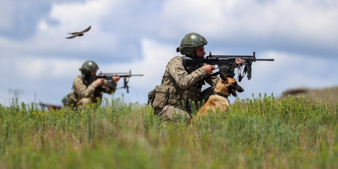 Yasa dışı yollarla hudutları geçmeye çalışan 12 kişi yakalandı