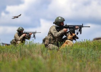 Yasa dışı yollarla hudutları geçmeye çalışan 12 kişi yakalandı