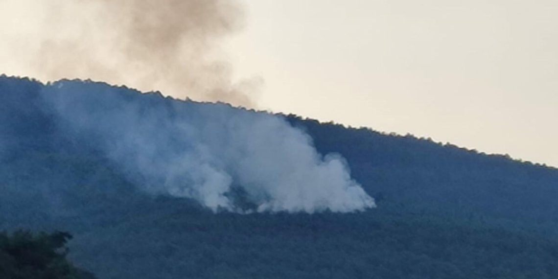 Yıldırım düştü orman yandı