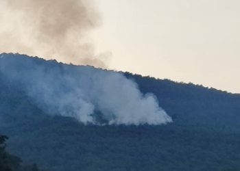 Yıldırım düştü orman yandı