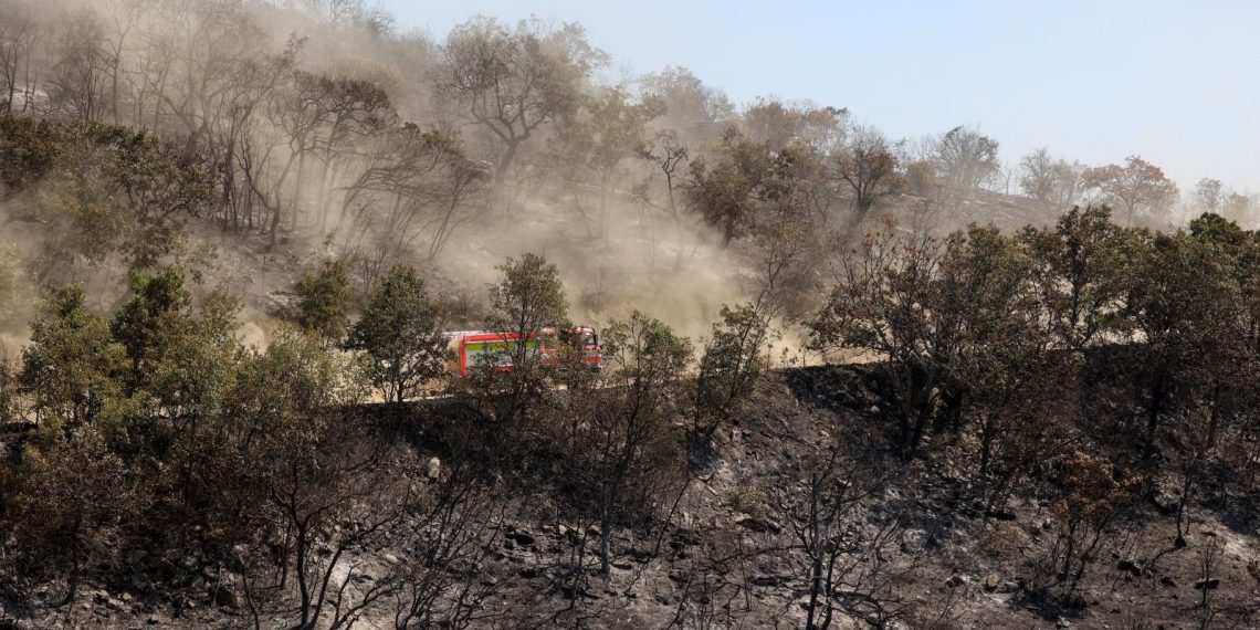 Yunanistan’daki orman yangını, AB tarihinin en büyük yangını olarak kayıtlara geçti