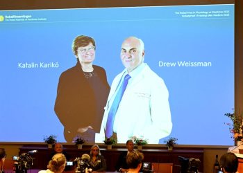 2023 Nobel Tıp Mükafatı sahiplerini buldu