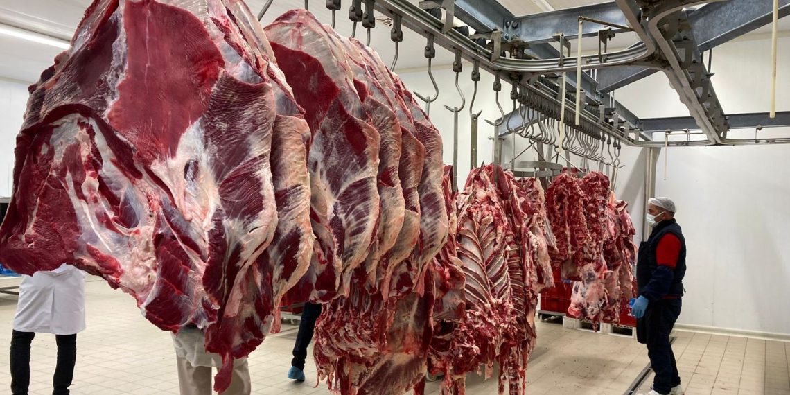 81 vilayette besin kontrolleri