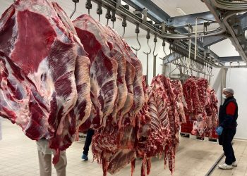 81 vilayette besin kontrolleri