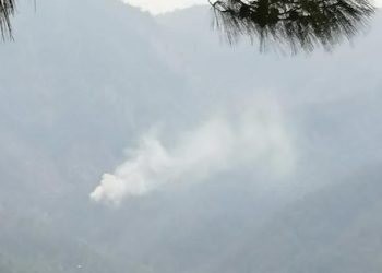 Adana’da orman yangını (Havadan ve karadan müdahale ediliyor)