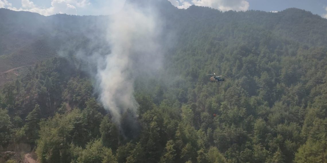 Adana’daki orman yangınları denetim altında