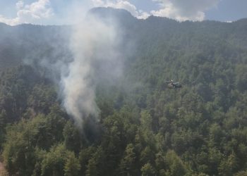 Adana’daki orman yangınları denetim altında