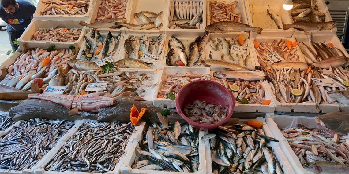 Akdeniz’de av yasağı kalktı: Balık fiyatları yüzde 80 düştü