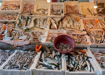 Akdeniz’de av yasağı kalktı: Balık fiyatları yüzde 80 düştü