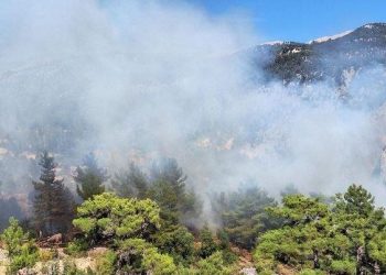 Antalya ve Muğla’da orman yangını