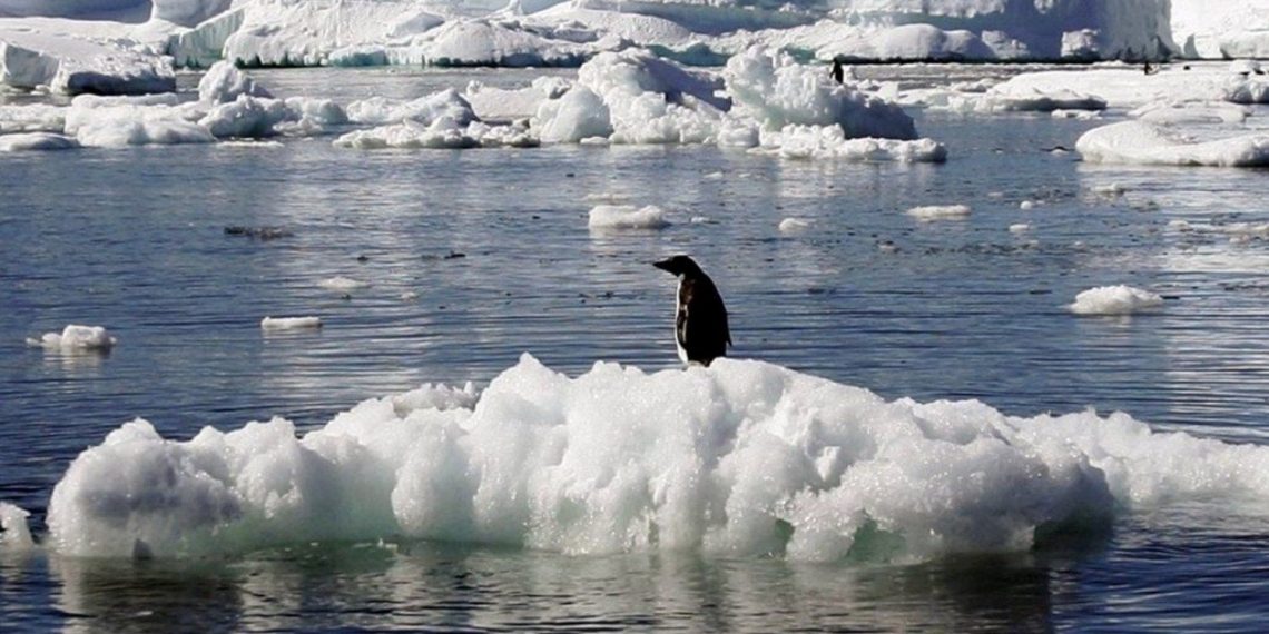 Antarktika’da araştırmacılara şort giydiren olağandışı sıcaklıkların nedeni aşikâr oldu