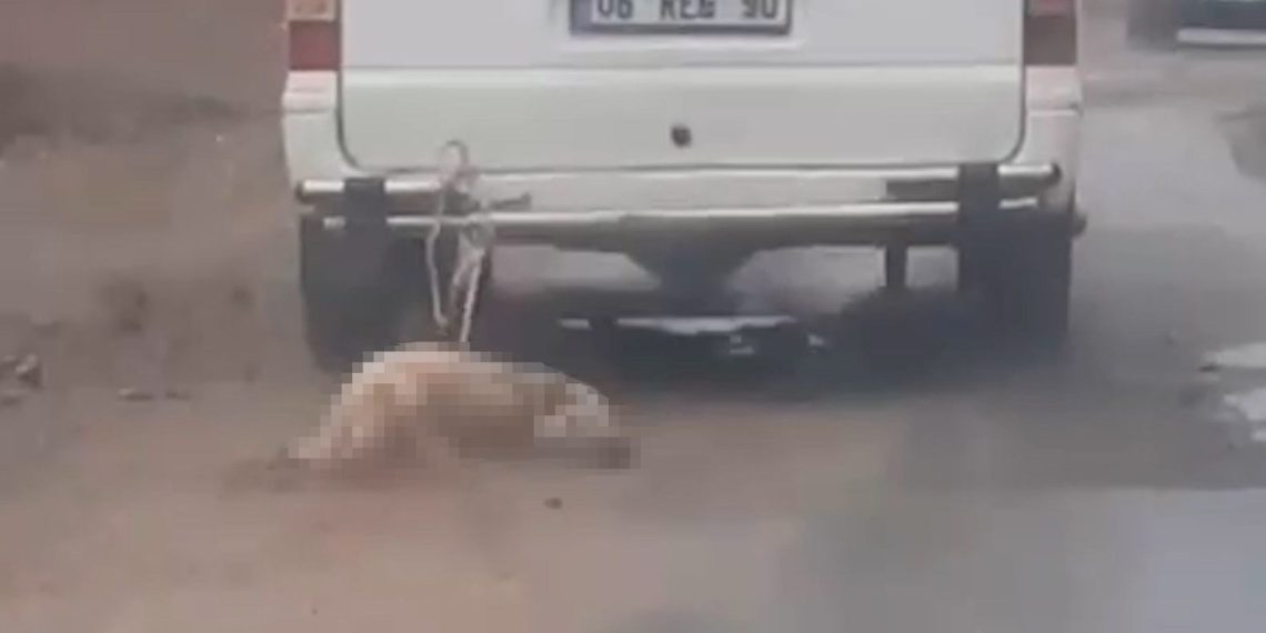 Aracına bağladığı köpeği metrelerce sürekleyerek öldürdü