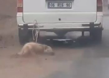 Aracına bağladığı köpeği metrelerce sürükledi