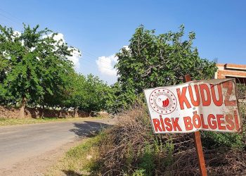 Artvin’de kuduz karantinası