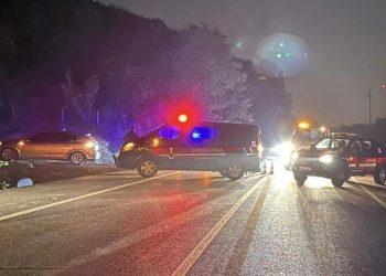 At sürüsüne çarpan araba zincirleme kazaya neden oldu