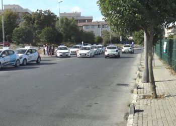 Avcılar’da sokak hayvanları bıçaklanarak öldürüldü