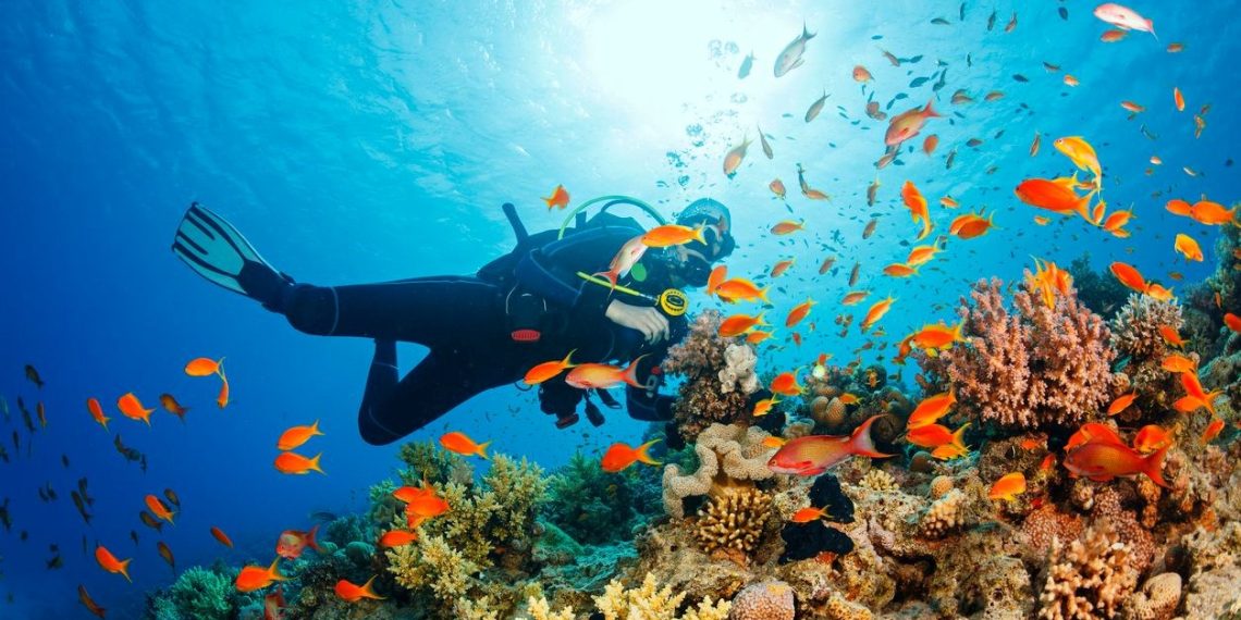 Avustralya’daki Büyük Set Resifi’nde yeni bir kaya balığı çeşidi keşfedildi