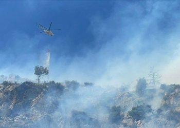 Aydın’daki orman yangınına tutuklama