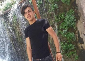 Ayı saldırısından köpekleri kurtardı