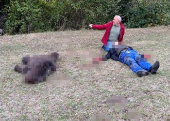 Ayının saldırısına uğradı: Yaşlı adamı komşuları kurtardı