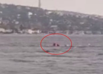 Beşiktaş’ta bir tekne alabora oldu