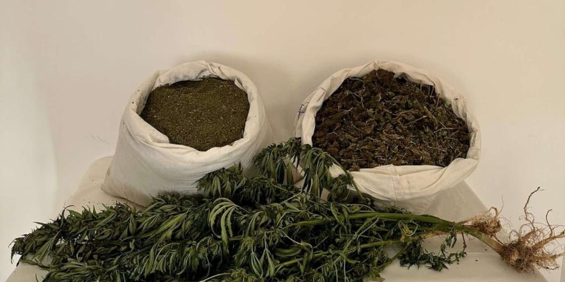 Bingöl’de 12 kilo 690 gram esrar ele geçirildi