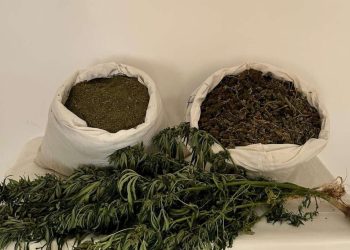 Bingöl’de 12 kilo 690 gram esrar ele geçirildi