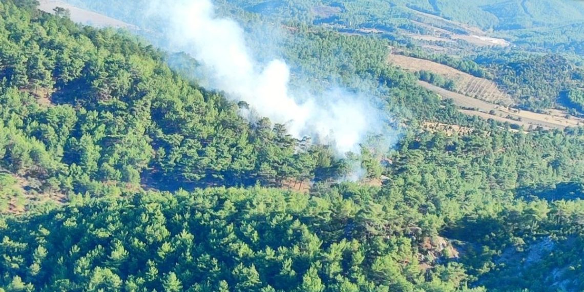 Çanakkale’de orman yangını